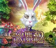 White Rabbit 2